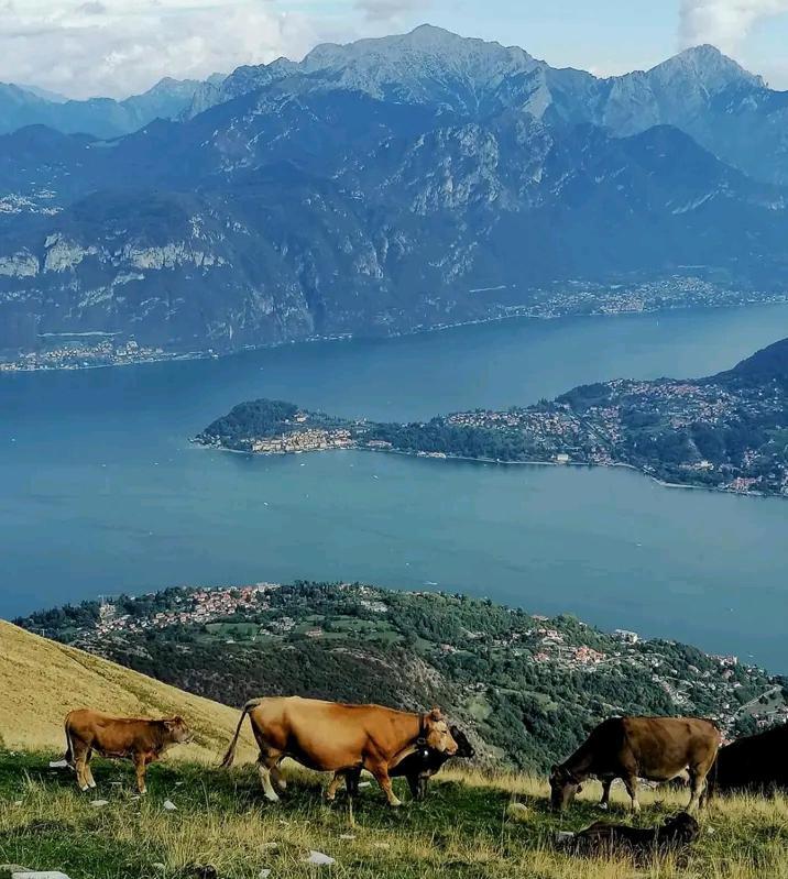 Casa Intignano - Camera Con Bagno E Portico Vista Lago Tremezzo Luaran gambar